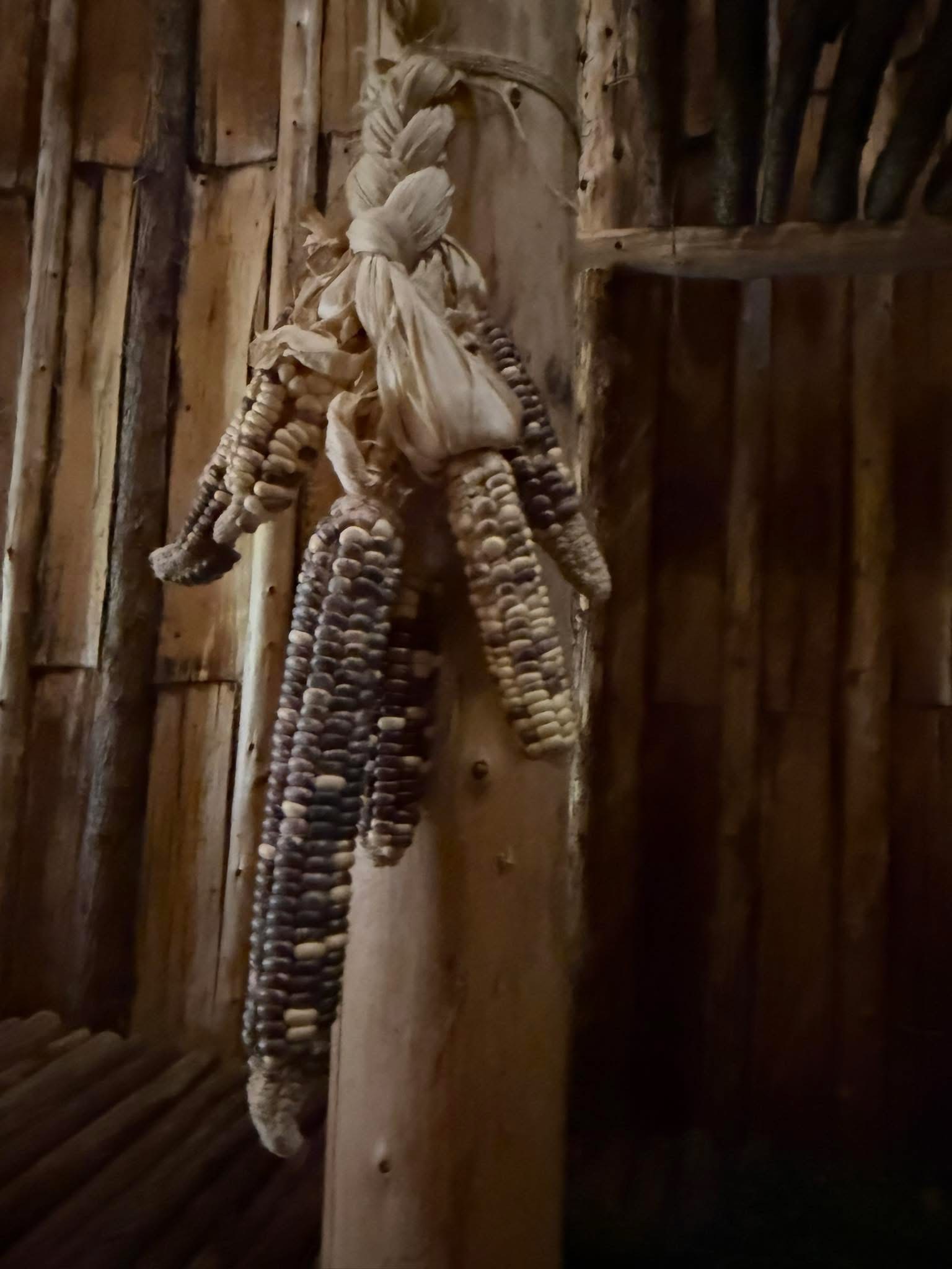 Traditional Corn