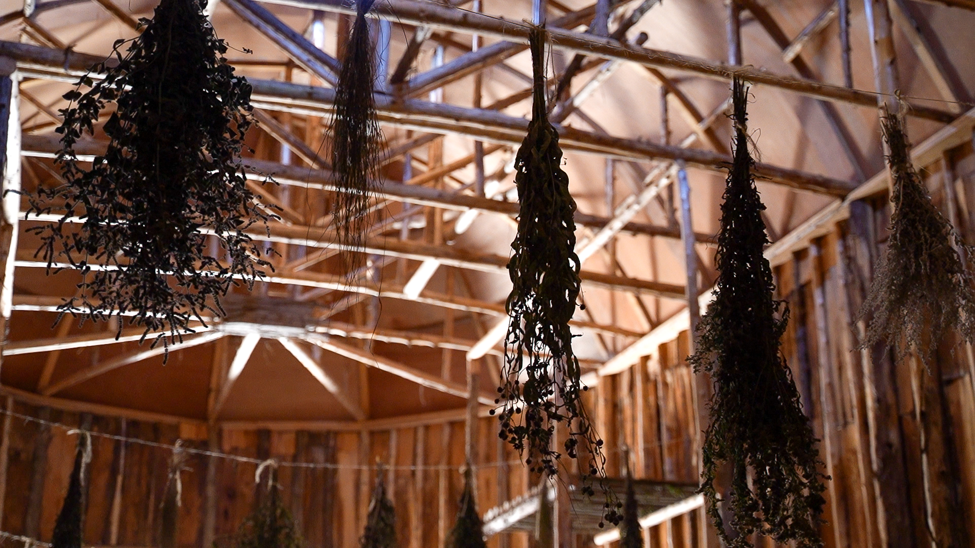 Inside the Longhouse