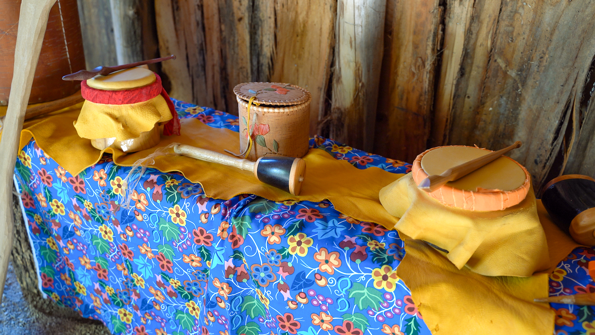Longhouse Opening