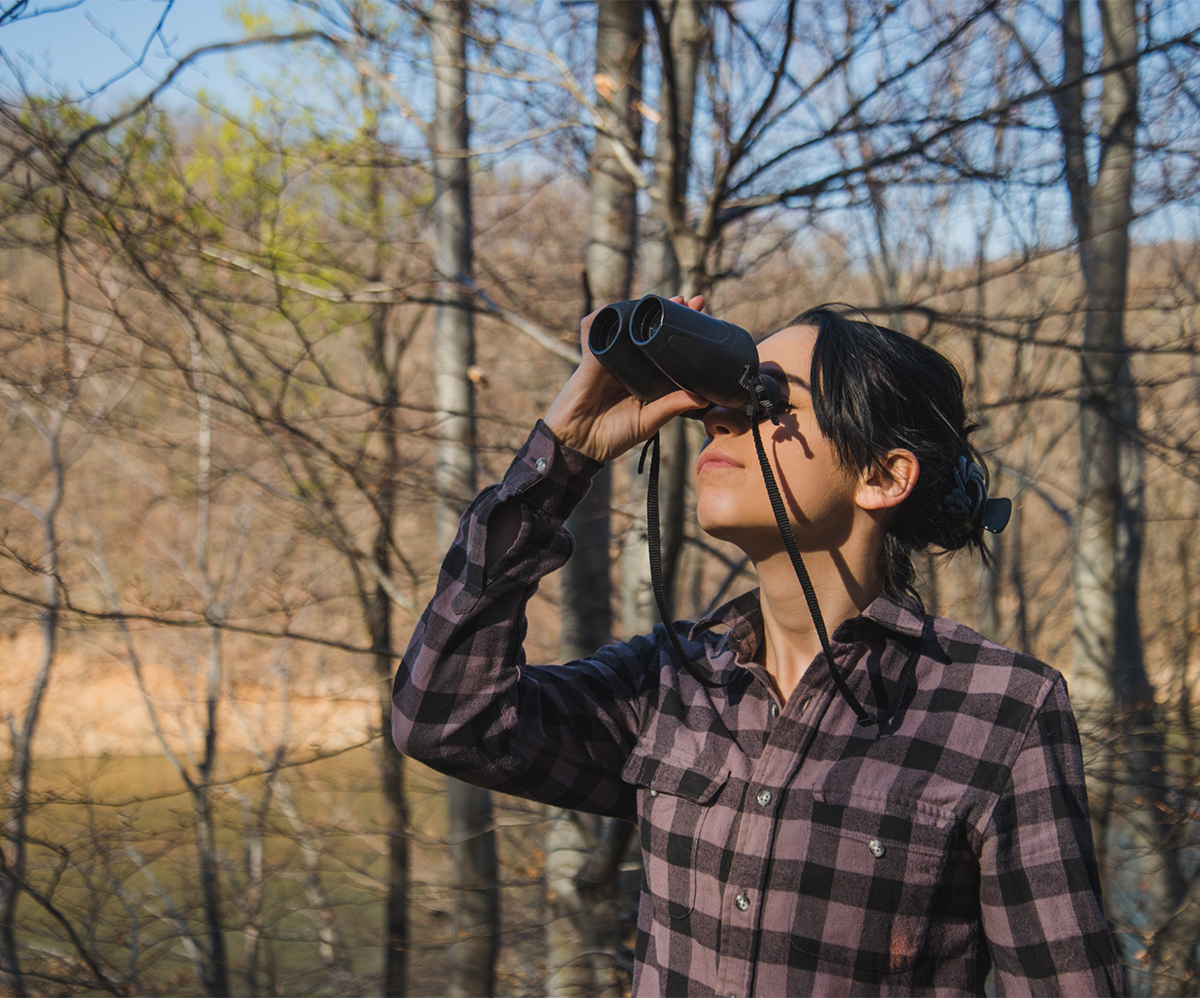 Spring Birdwatching: Welcoming Migratory Birds Back Home