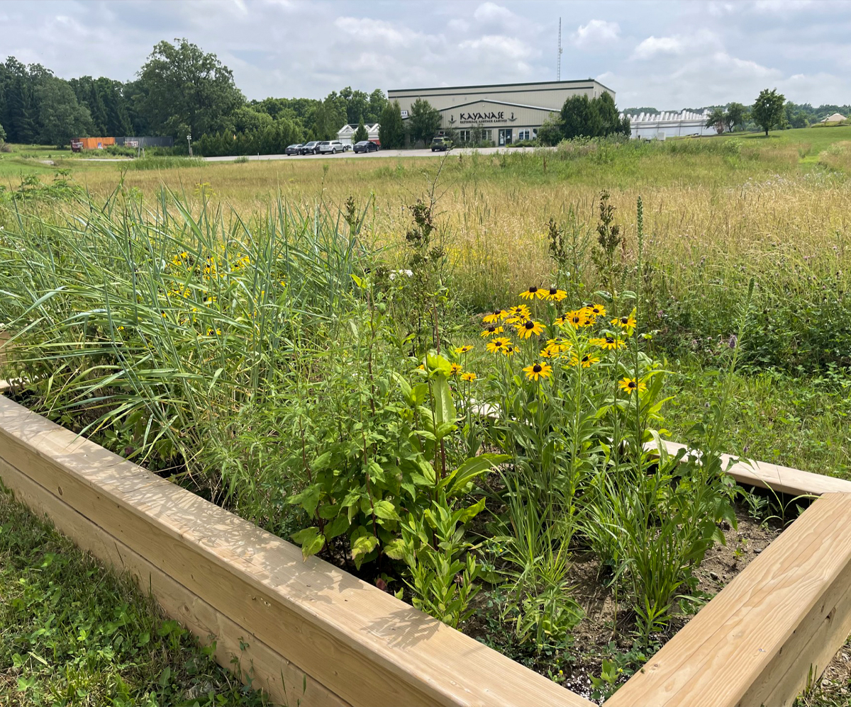 Container Gardening: Bringing Nature to Small Spaces