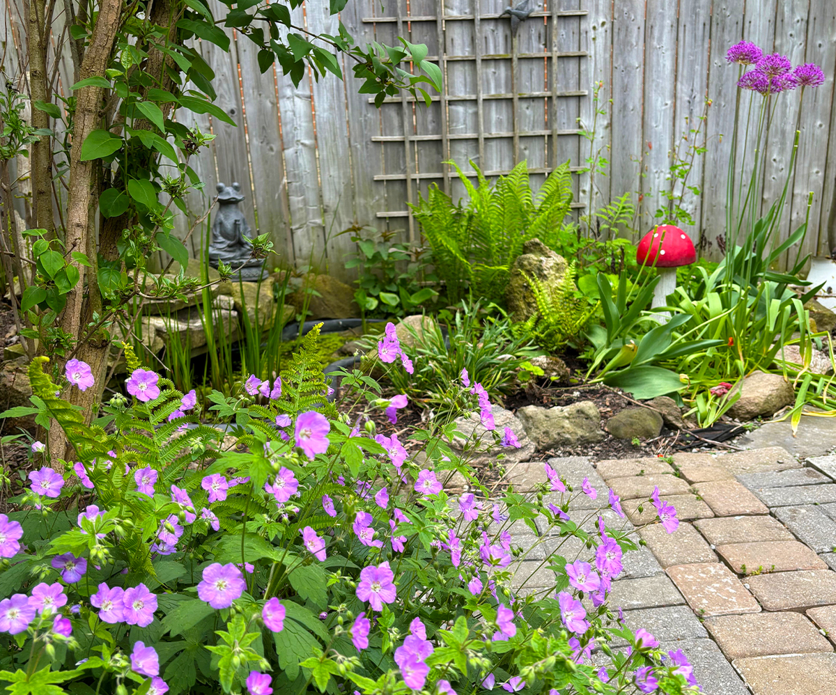 Spring Checklist: Preparing Your Native Garden for the Season