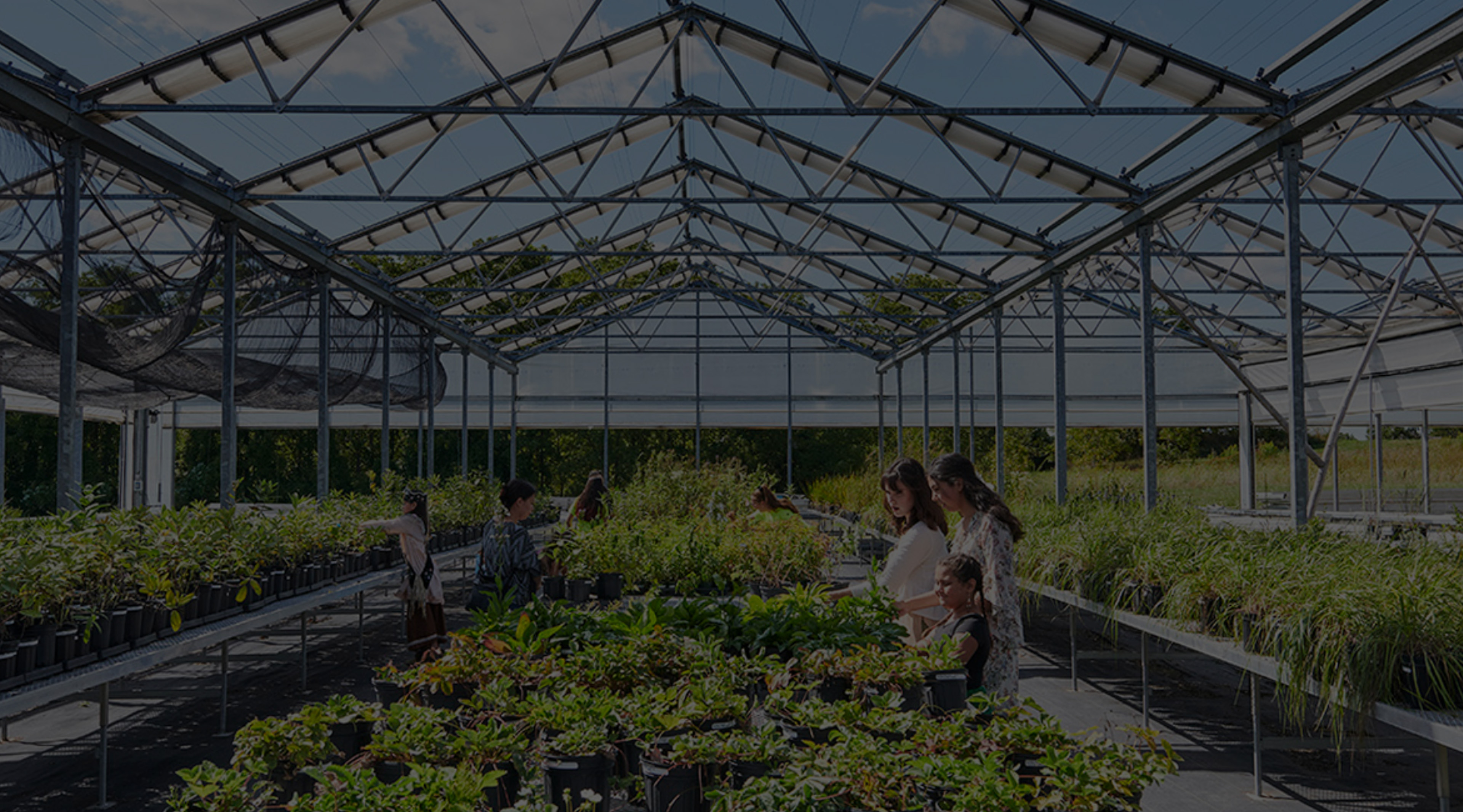 Kayanase Greenhouse Banner