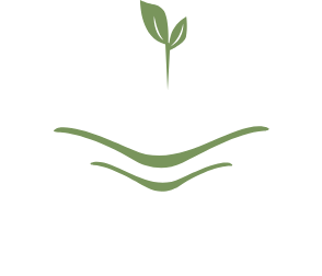 Kayanase Footer Logo