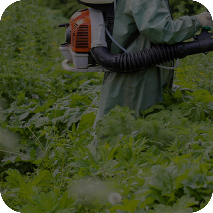 Invasive Plant Species Management
